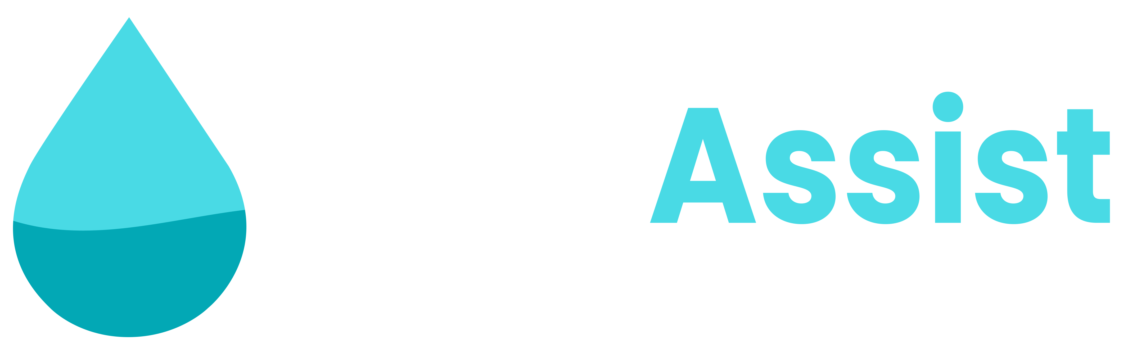 DeepAssist Logo
